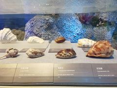 -中国（海南）南海博物馆