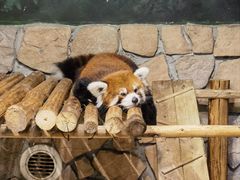 -绿色星球动物主题公园