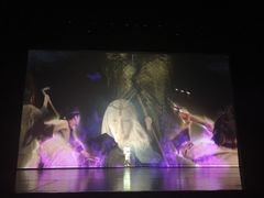 -合肥大剧院