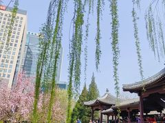 -元大都城垣遗址公园