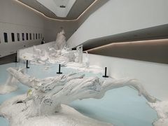 -中国湿地博物馆
