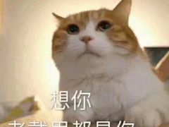 -City1+1城市比萨·意面(桂林路店)