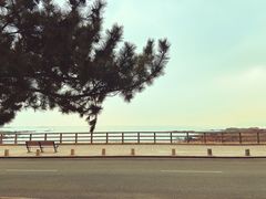 -八大关景区