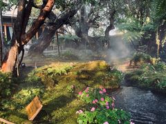 -Chom Cafe and Restaurant