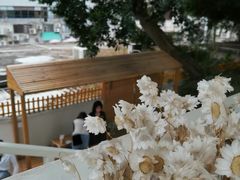 -椿风·养身茶饮(吉大店)