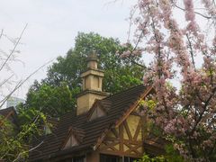 -成都南湖公园