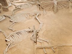 -洛阳周王城天子驾六博物馆