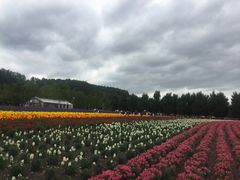 -富田农场