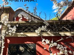 -潭柘寺景区