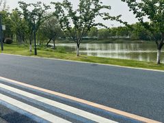 -贡湖湾湿地公园