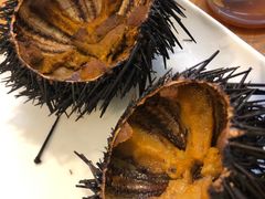 -海胆小馆(东北水饺·春柳店)