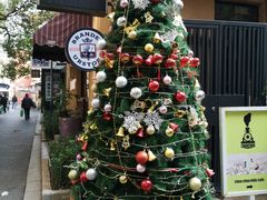 -SISTERS BAR RESTAURANT川意酒馆(嘉善老市H楼店)