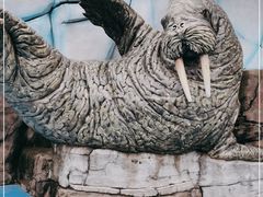 -海合安成都极地海洋公园