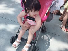 -美的鹭湖探索王国