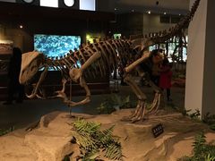 -自贡恐龙博物馆