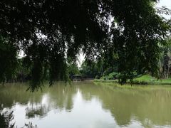 -新加坡植物园