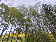 -黄公望隐居地