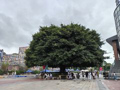 -四川美术学院美术馆