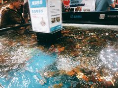 -盒马鲜生(曜一城店)