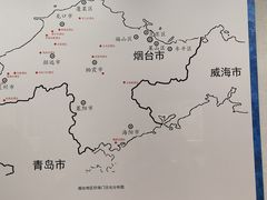 -烟台市博物馆