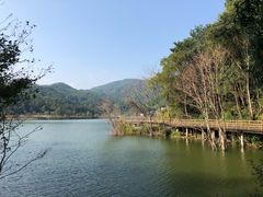 -梁野山景区