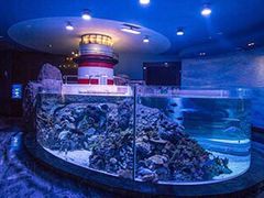 -成都浩海立方海洋公园