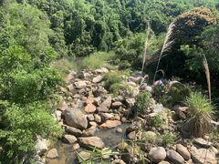 -海南霸王岭国家森林公园