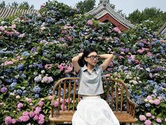 -The Rug Cafe(王府中环店)