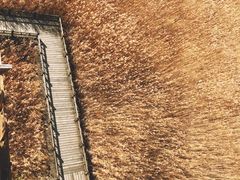 景点-野鸭湖国家湿地公园