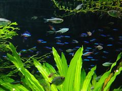 -上海海洋水族馆