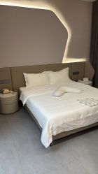 -宝生月子中心(独栋园林·福田店)