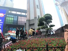 -一只酸奶牛(八一路店)