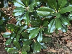 -蜀冈西峰生态公园