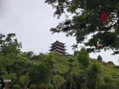 -清溪大王山森林公园