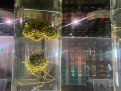 -广东中医药博物馆