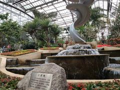 -南山植物园
