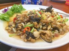 -杨记新泉美食