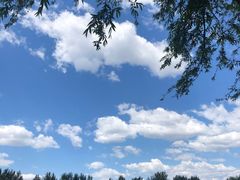 -东郊湿地公园