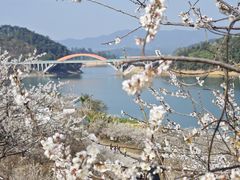 -广州市流溪河国家森林公园