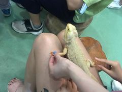 -藦茜花园宠物主题亲子互动体验馆(国顺东路店)