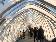 -白鹭湾湿地公园