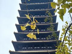 -牛首山文化旅游区