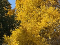 -狼山风景名胜区