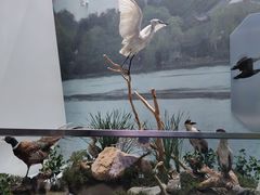 -杭州西湖博物馆总馆