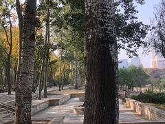 -元大都城垣遗址公园