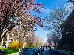 -天津五大道文化旅游区