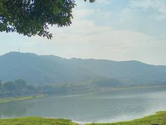 -风云岭森林公园