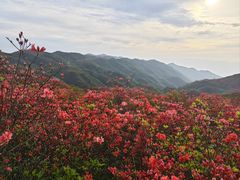 -大围山国家森林公园