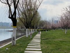 -天鹅湖体育公园