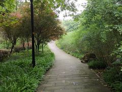 -重庆彩云湖湿地公园